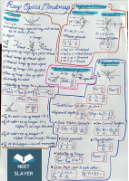 Ray optics MINDMAP.pdf